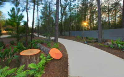 Take Walk on Colorful Side at ARTAVIA™