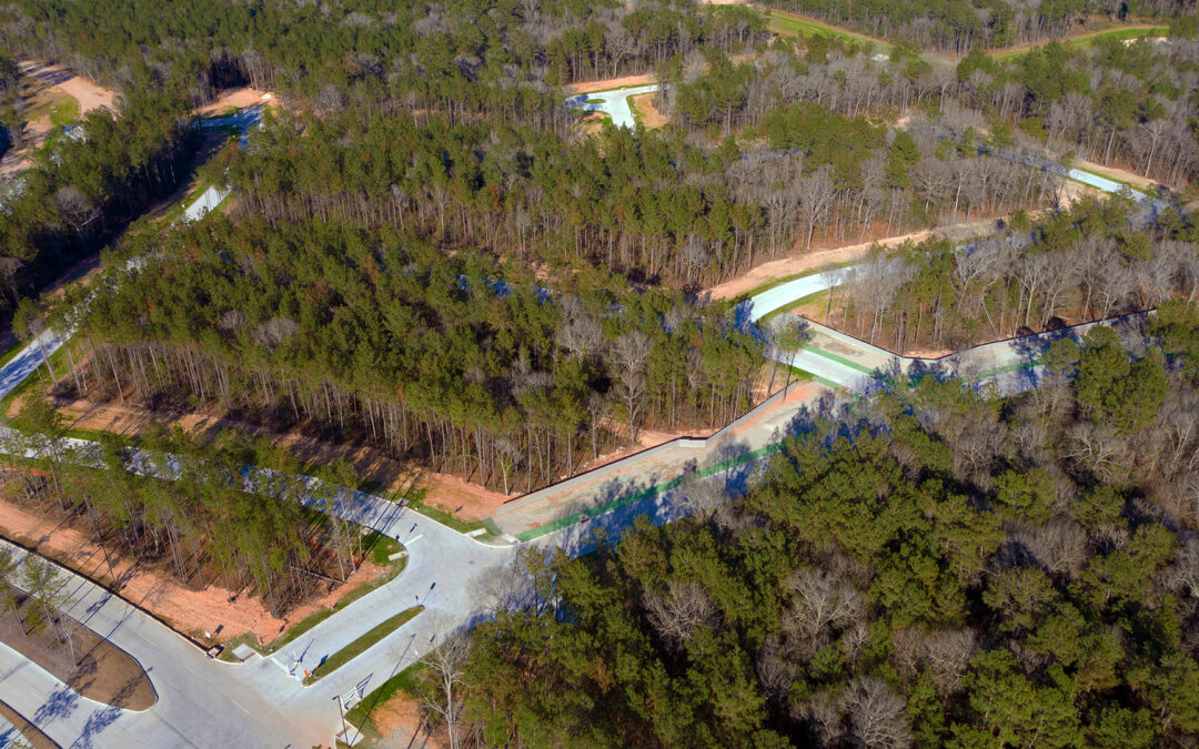 ARTAVIA Releases New 65’ Homesites, homes from the $300s