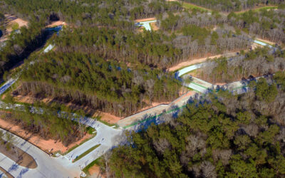 ARTAVIA Releases New 65’ Homesites, homes from the $300s